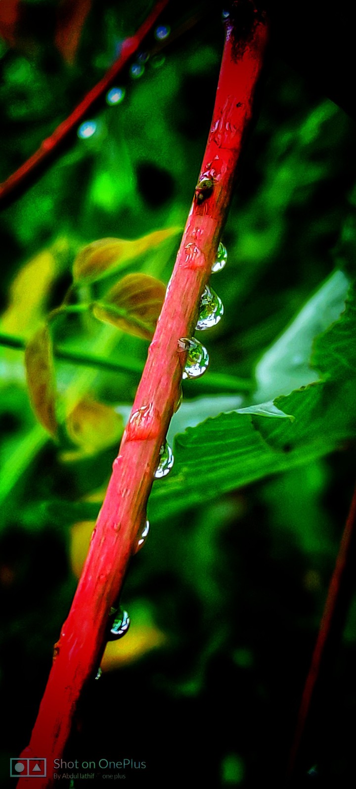 Every drop water is Save the life?