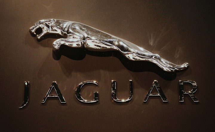 jaguar