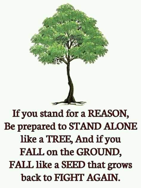 inspirational words