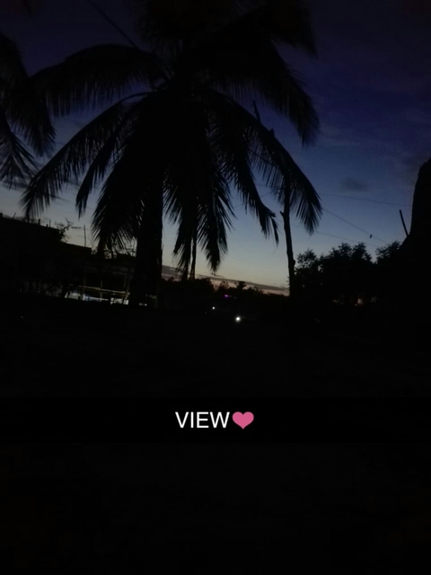 view..