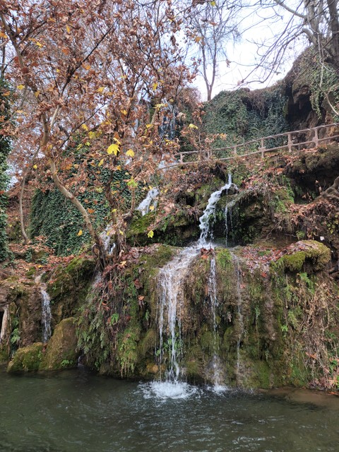 רקעים branch, landscape