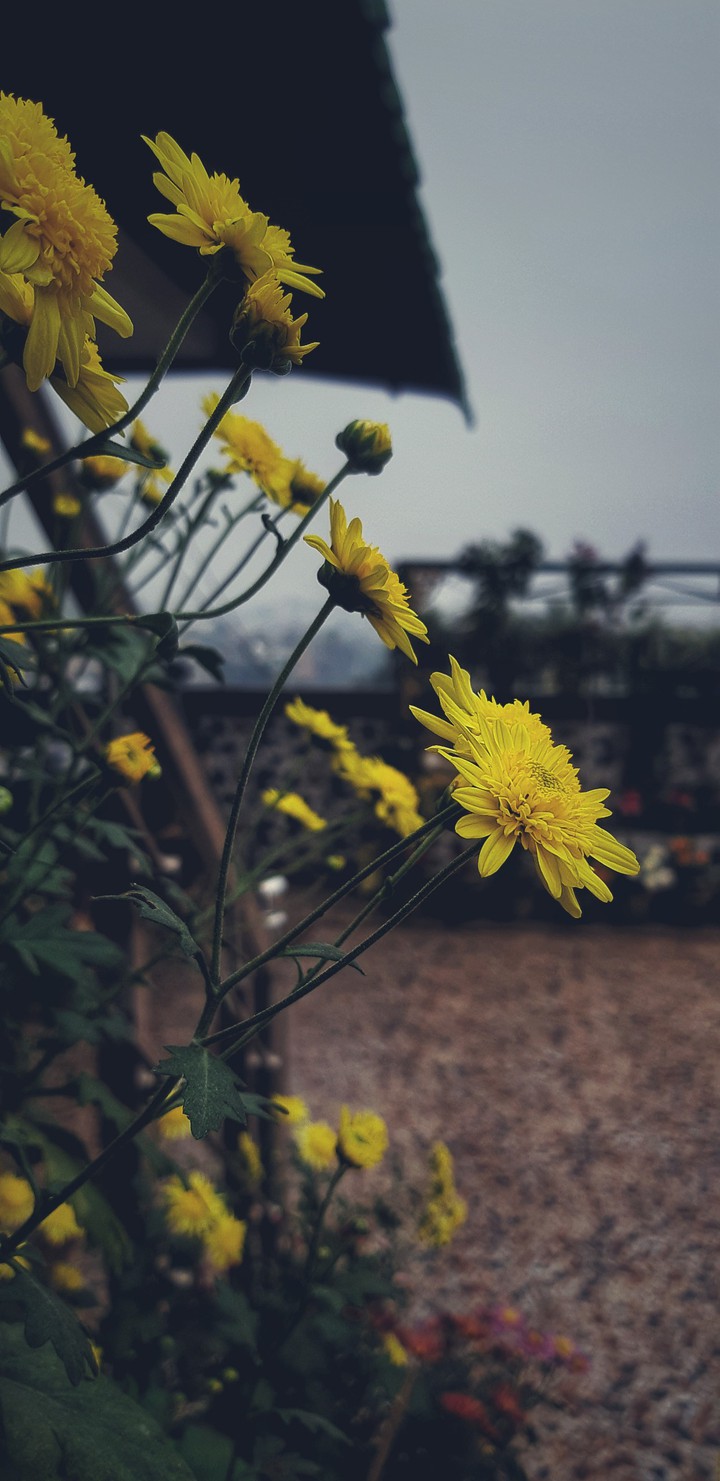Somewhere on Earth