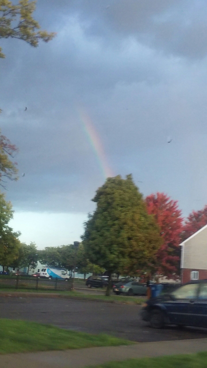 After the storm
