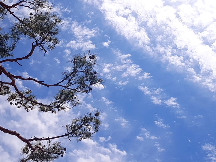 cloud