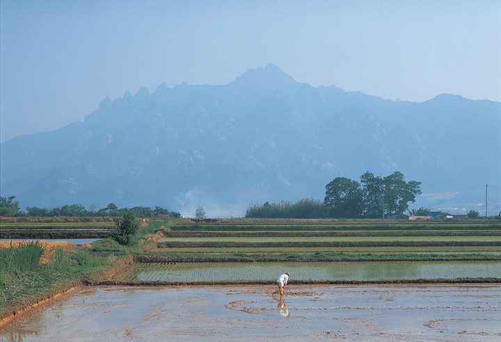 풍경