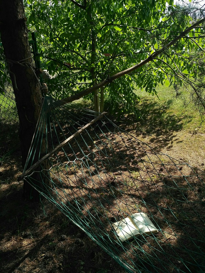 Summer hammock (no filters)