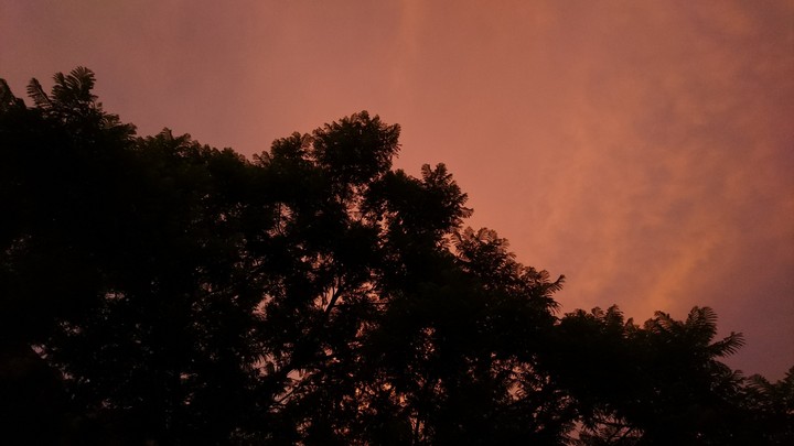 A pinky dawn