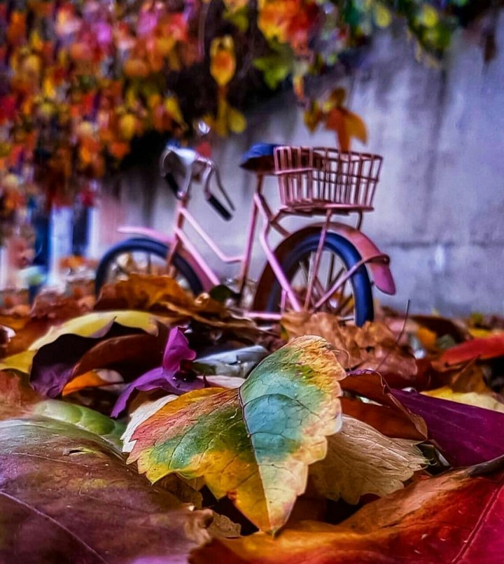 پاییز