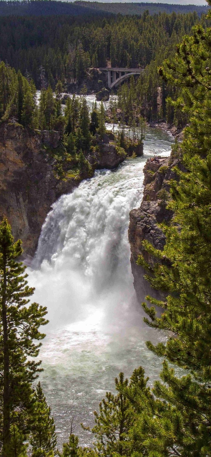 foysal khan