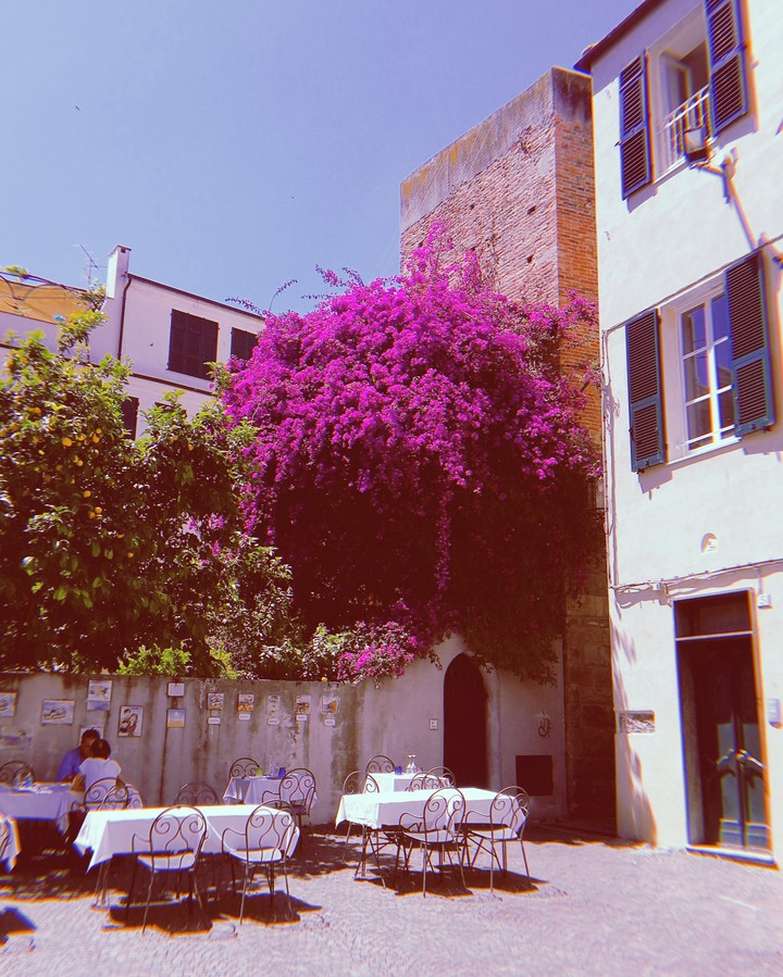 Bouganville