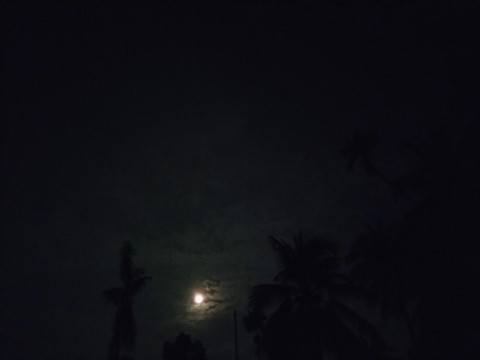 Night