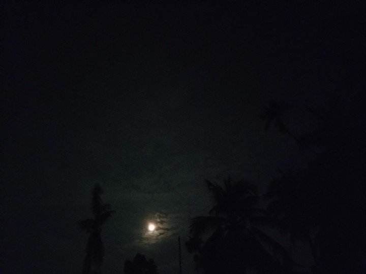 Night
