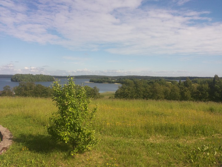 Nature Again