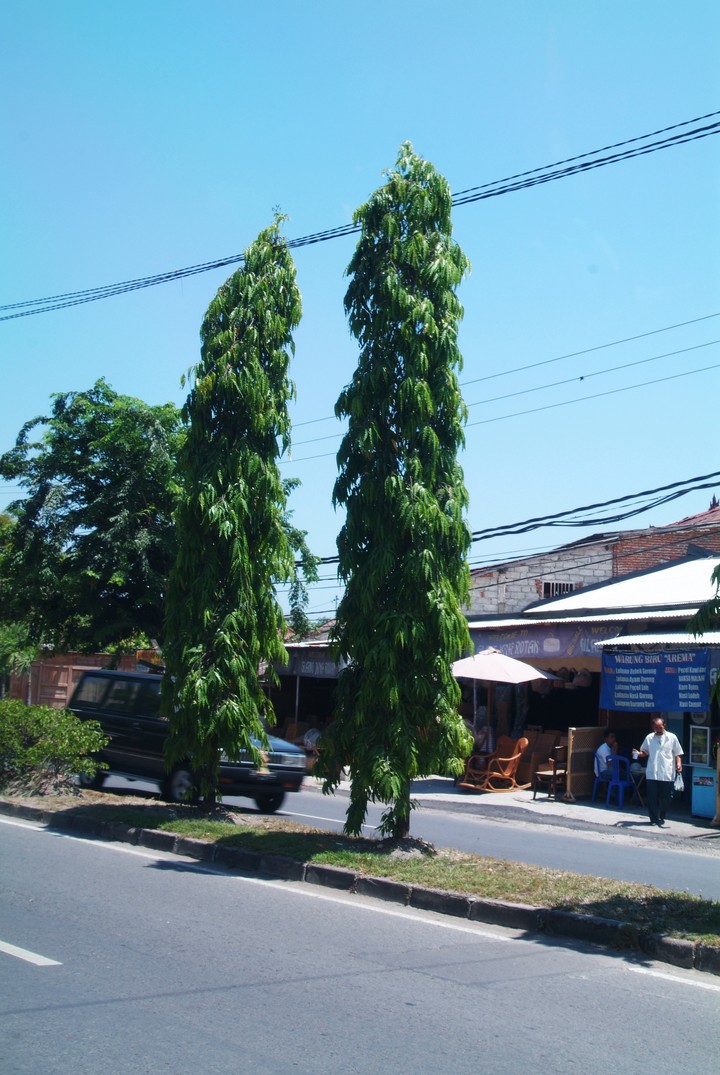 Asia