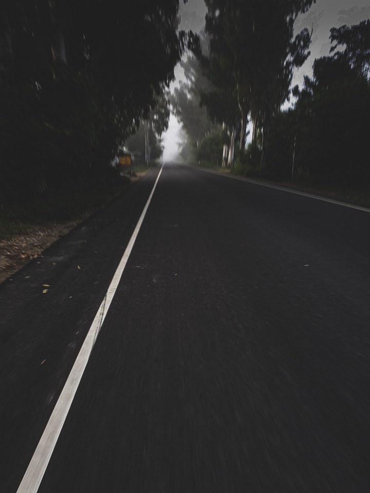 shaky ride