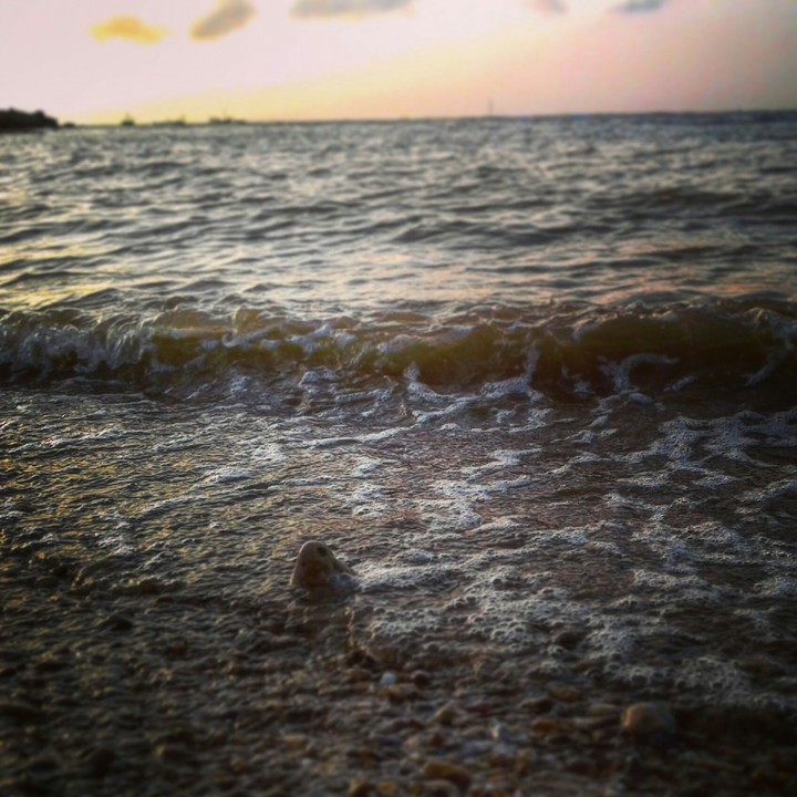 Waves