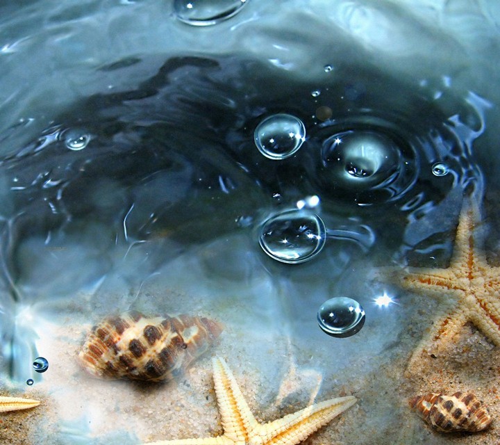 sea