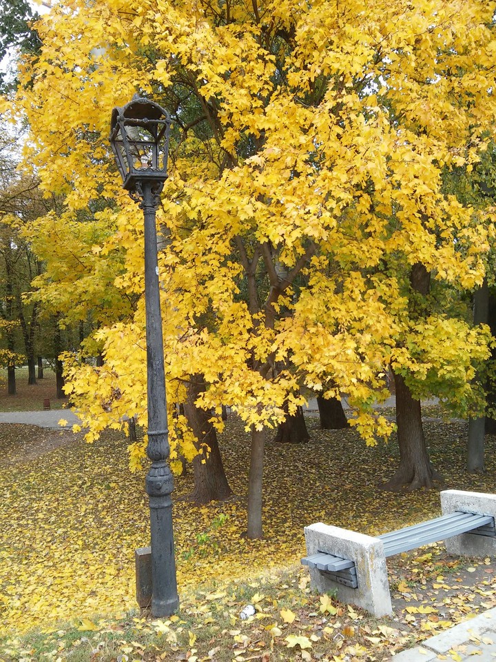 Осень