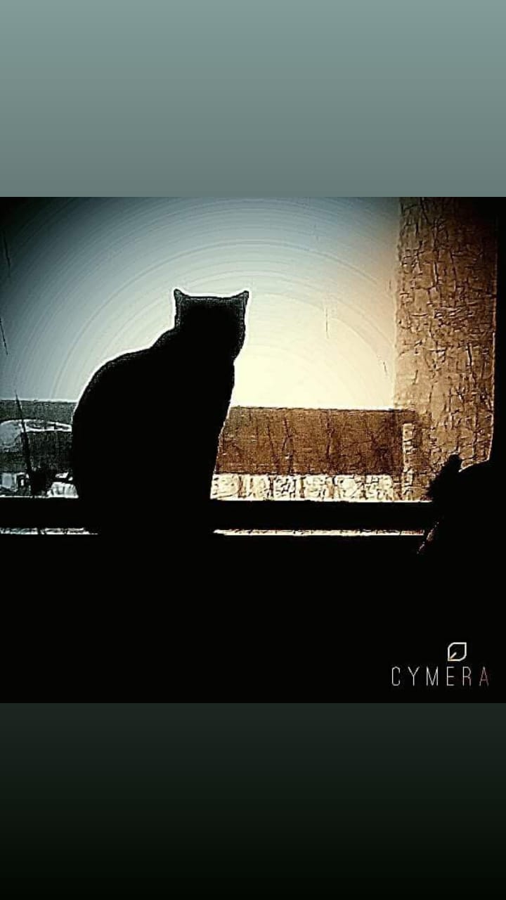iJun lookin outside