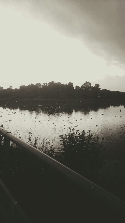 Summer Lake