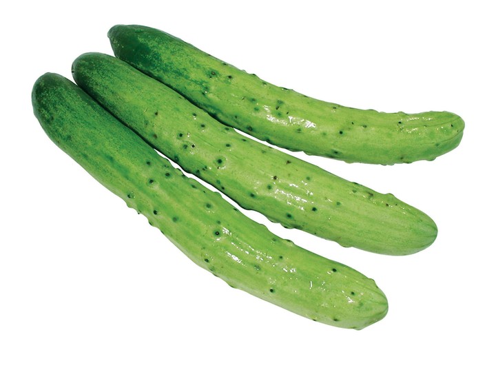 음식이미지