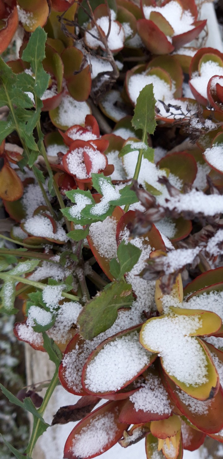 Snow