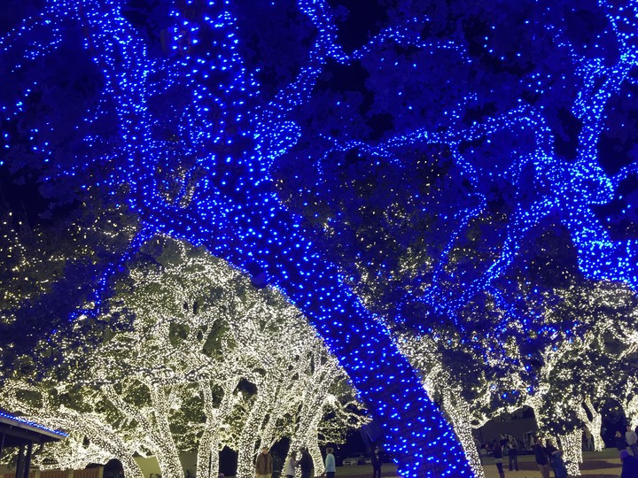 Christmas Lights