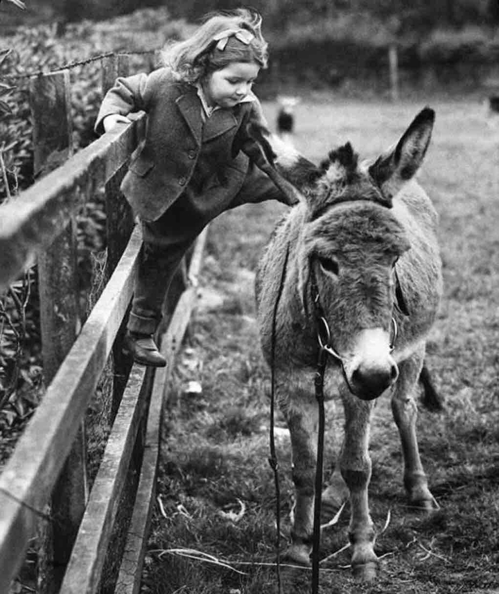 Photography vintage