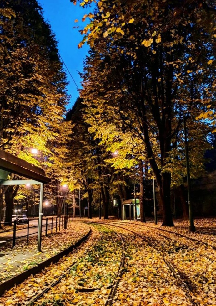 Autumn