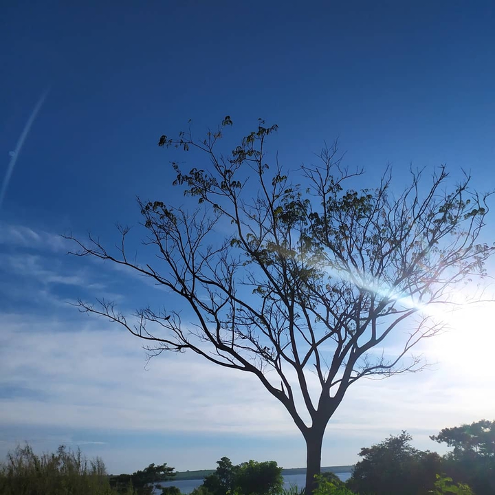 sol