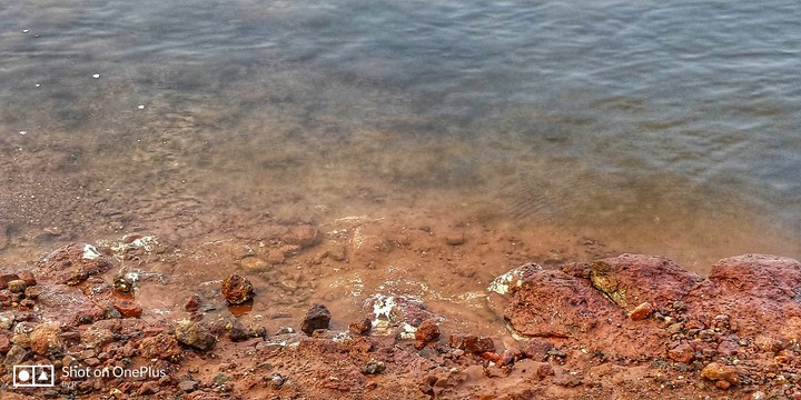beached have their own story