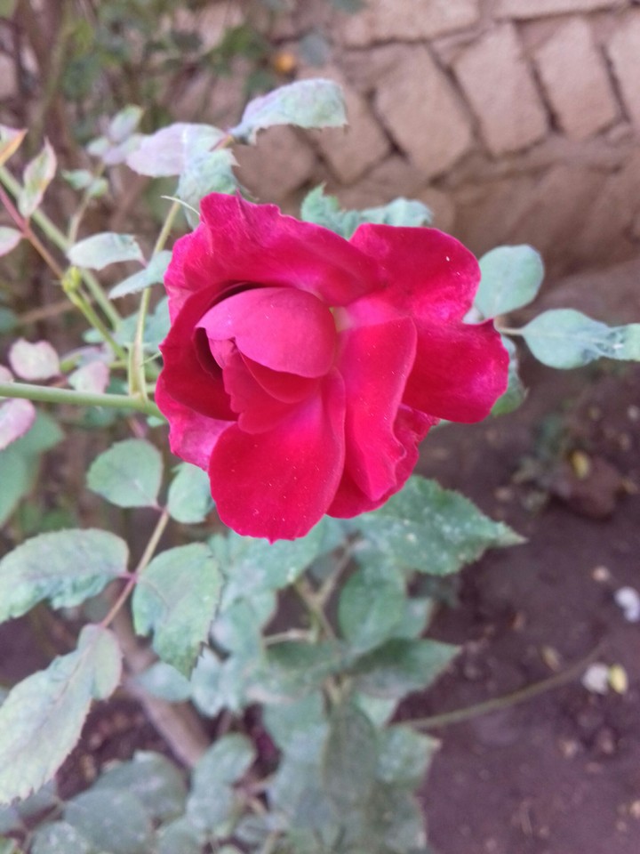 please like & comment