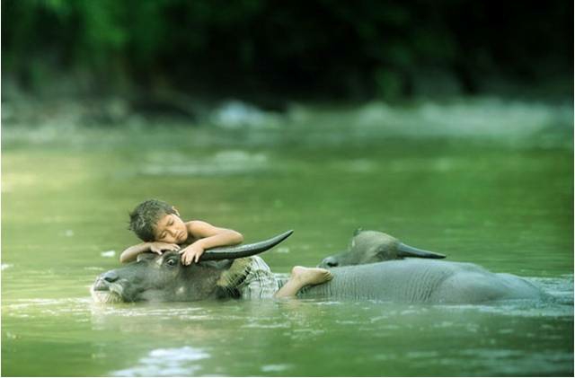 Nature lover child