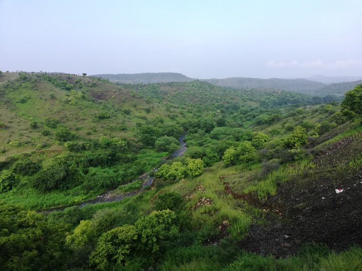 nature