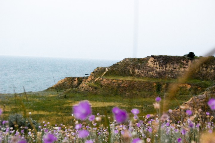 Ukraine's landscapes