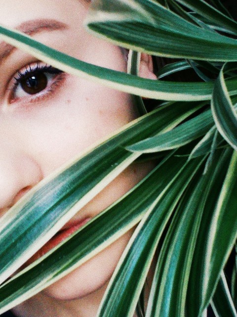 Face in flower