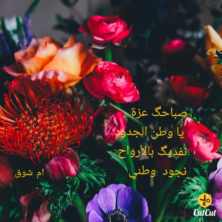 وطني