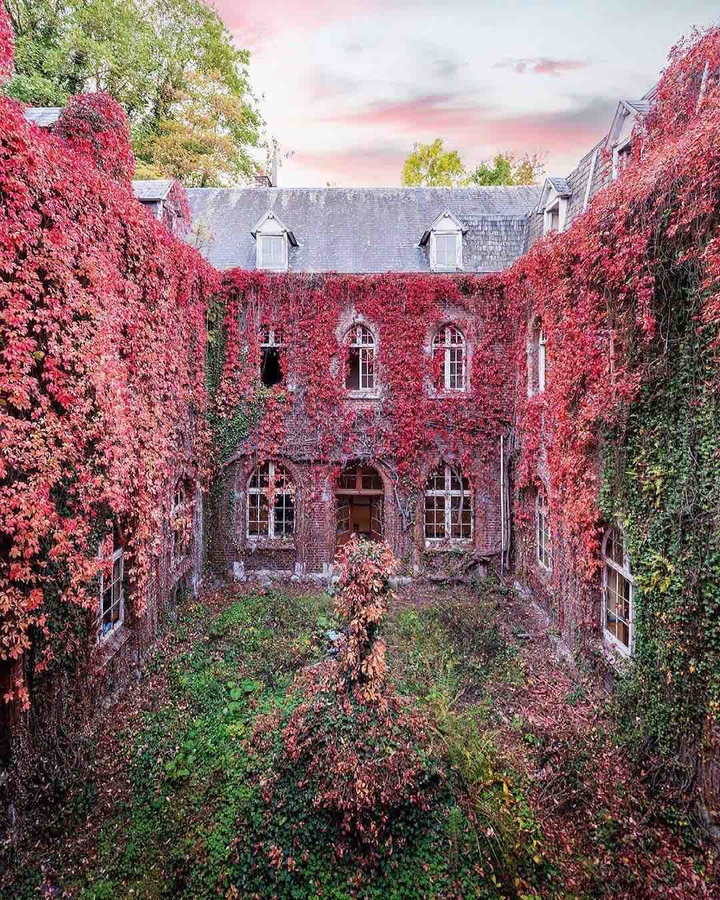 abadoned house