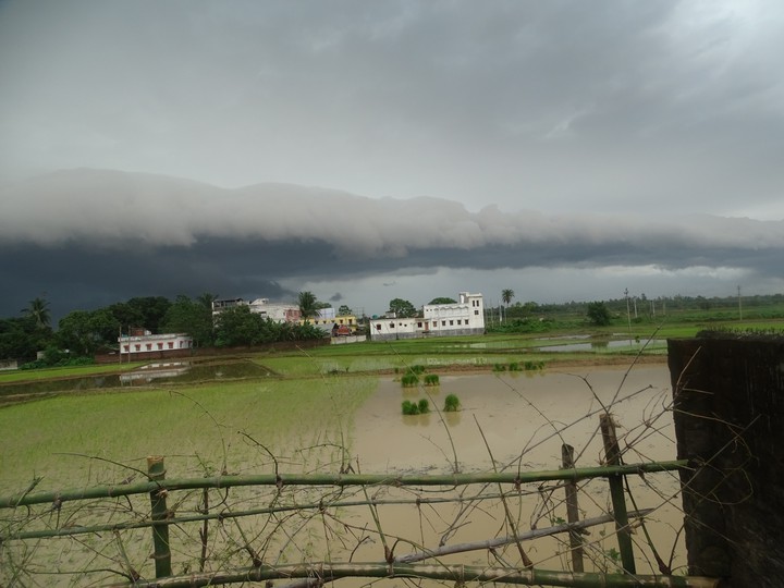 Do you saw this type of Cloud??