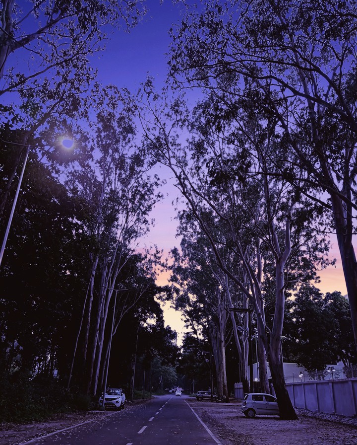 Twilight