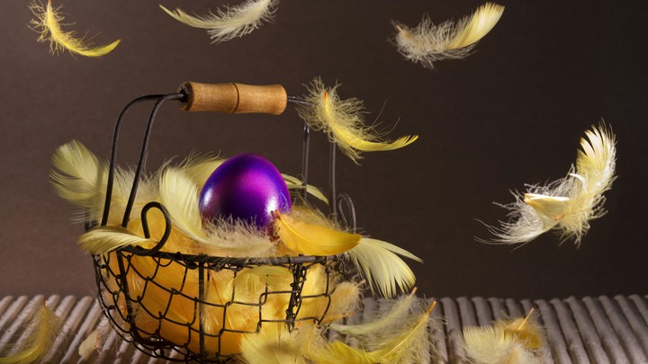 feathers