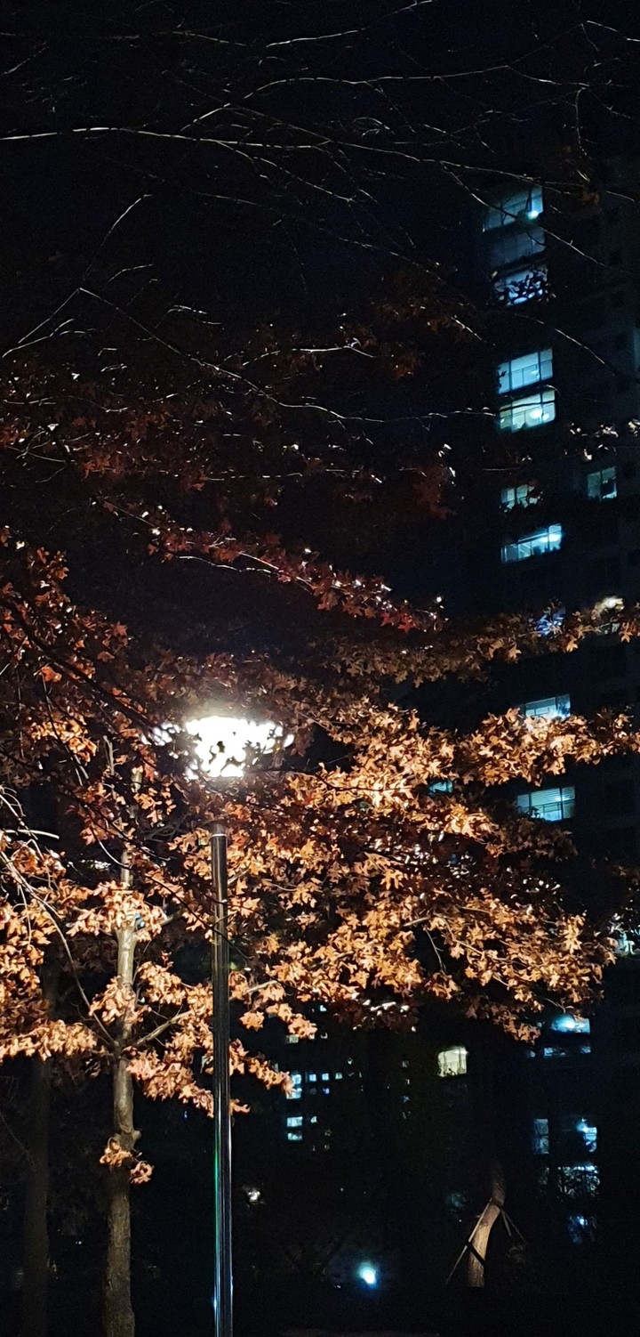 Night of fall
