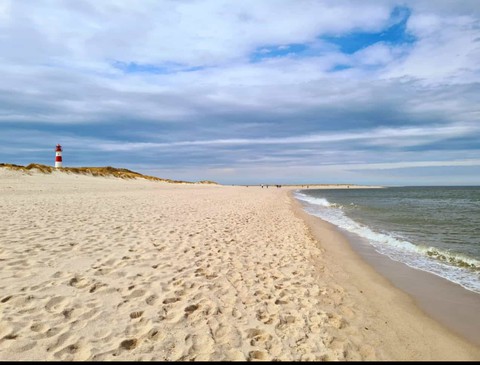 Meer
