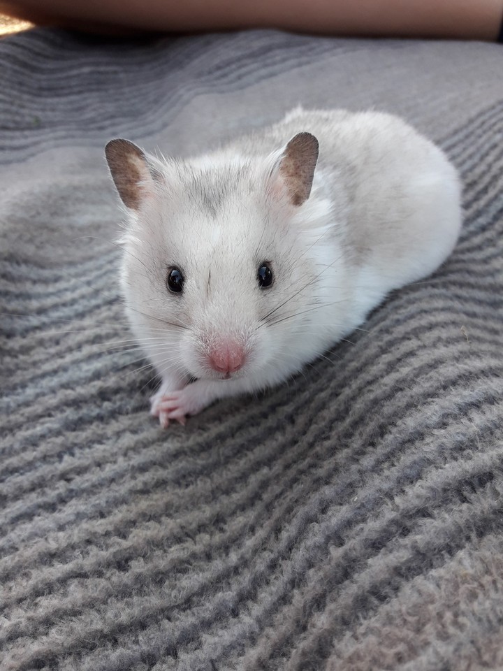 Teo ❤