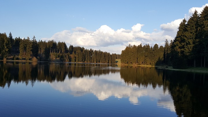 by my camera