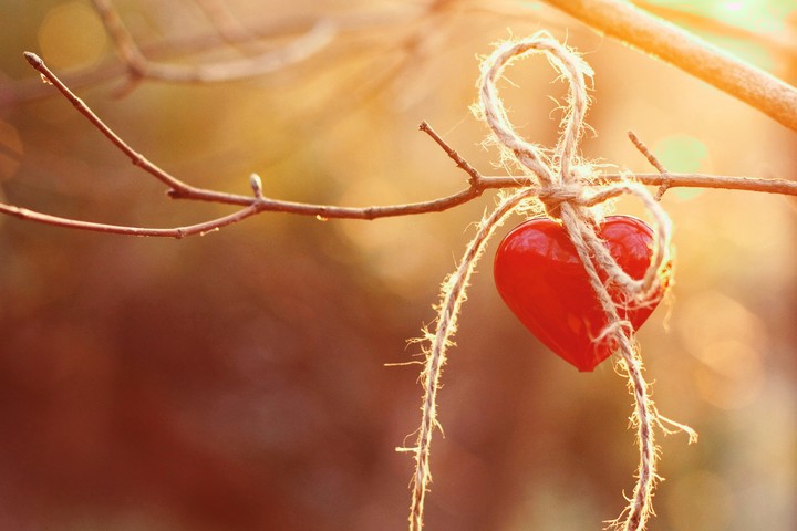 love bind