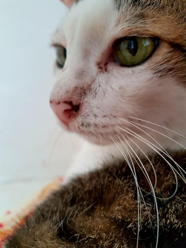Precious baby ...