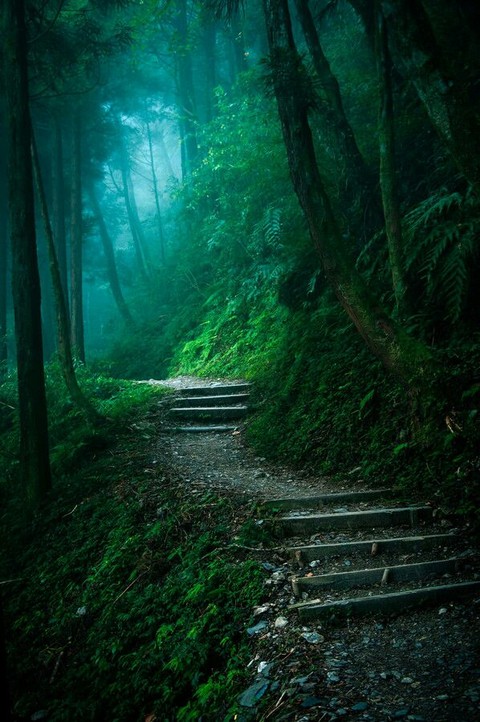 escaleras