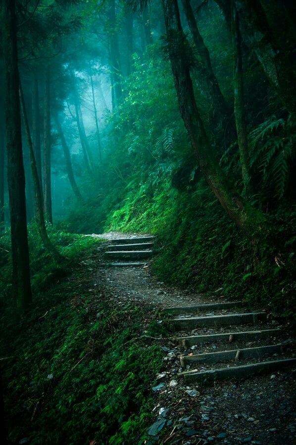 escaleras