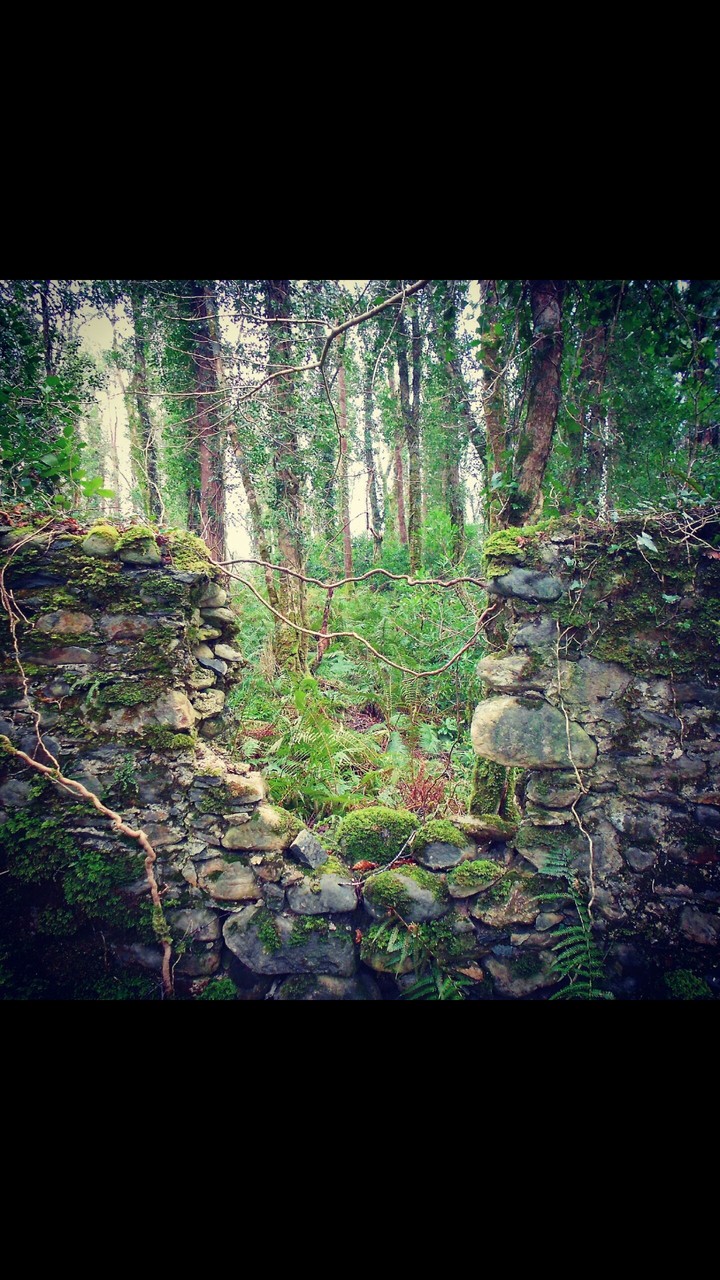 Ireland